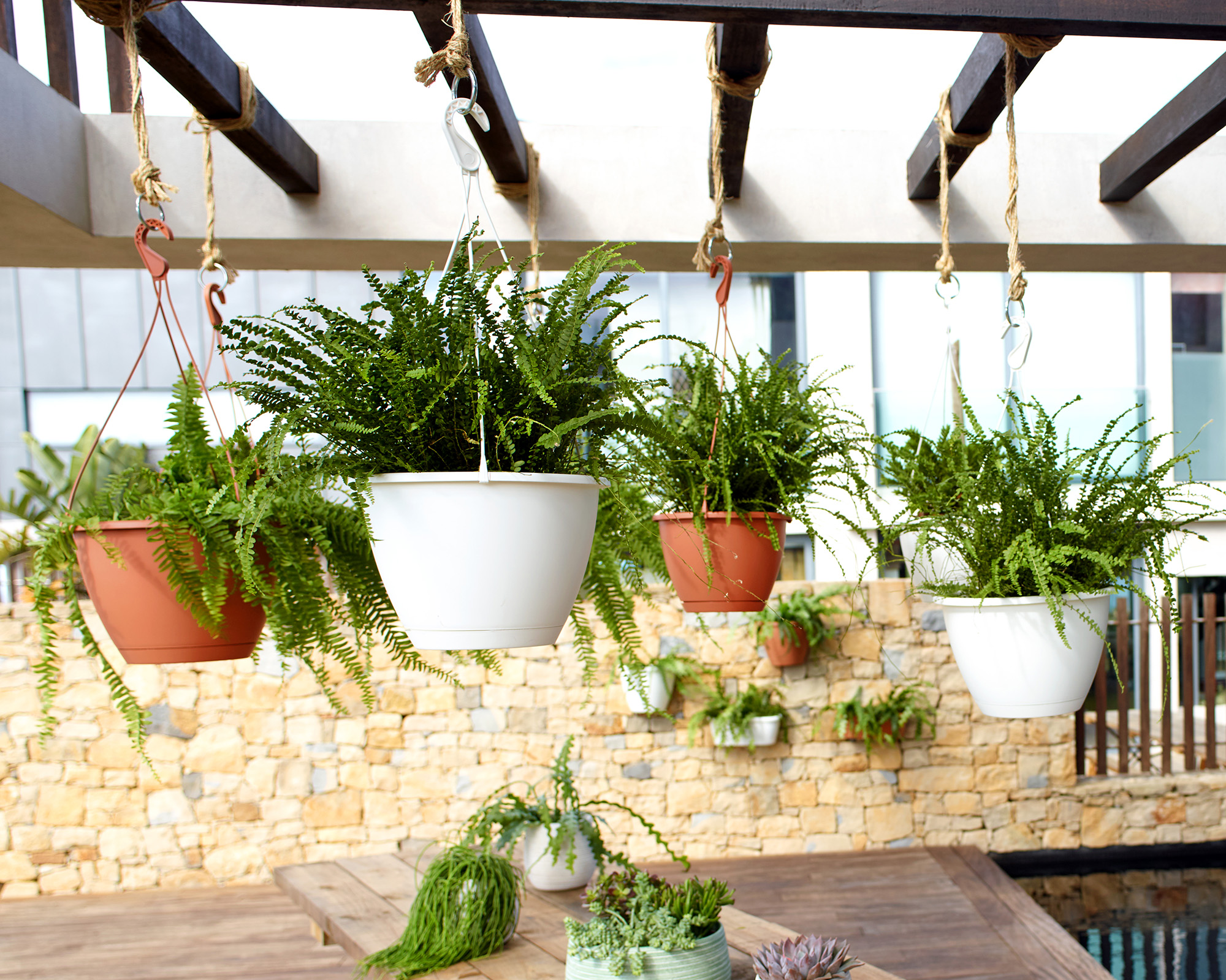 Algarve Hanging Basket