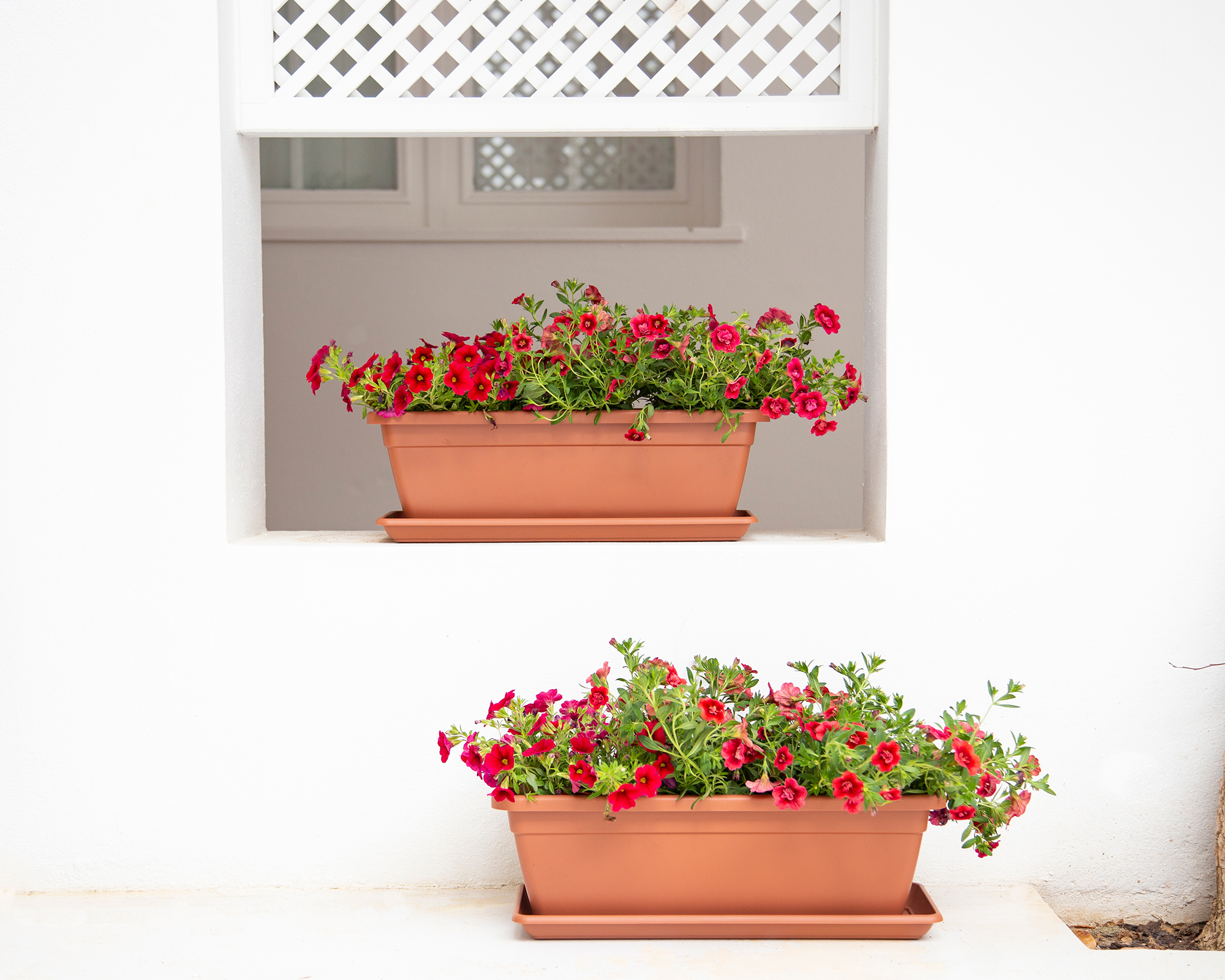 Venezia Plant Box