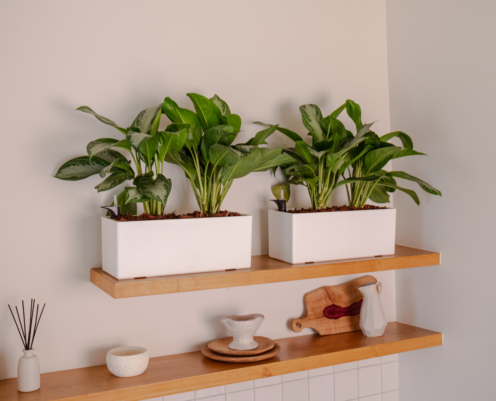 Rimini Plant Box Self Watering System