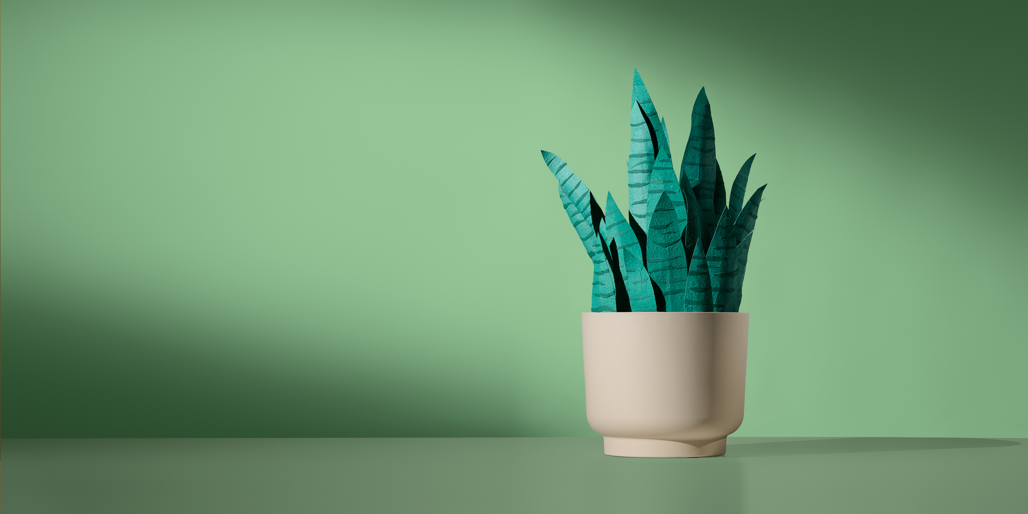 Step into an oasis of colour