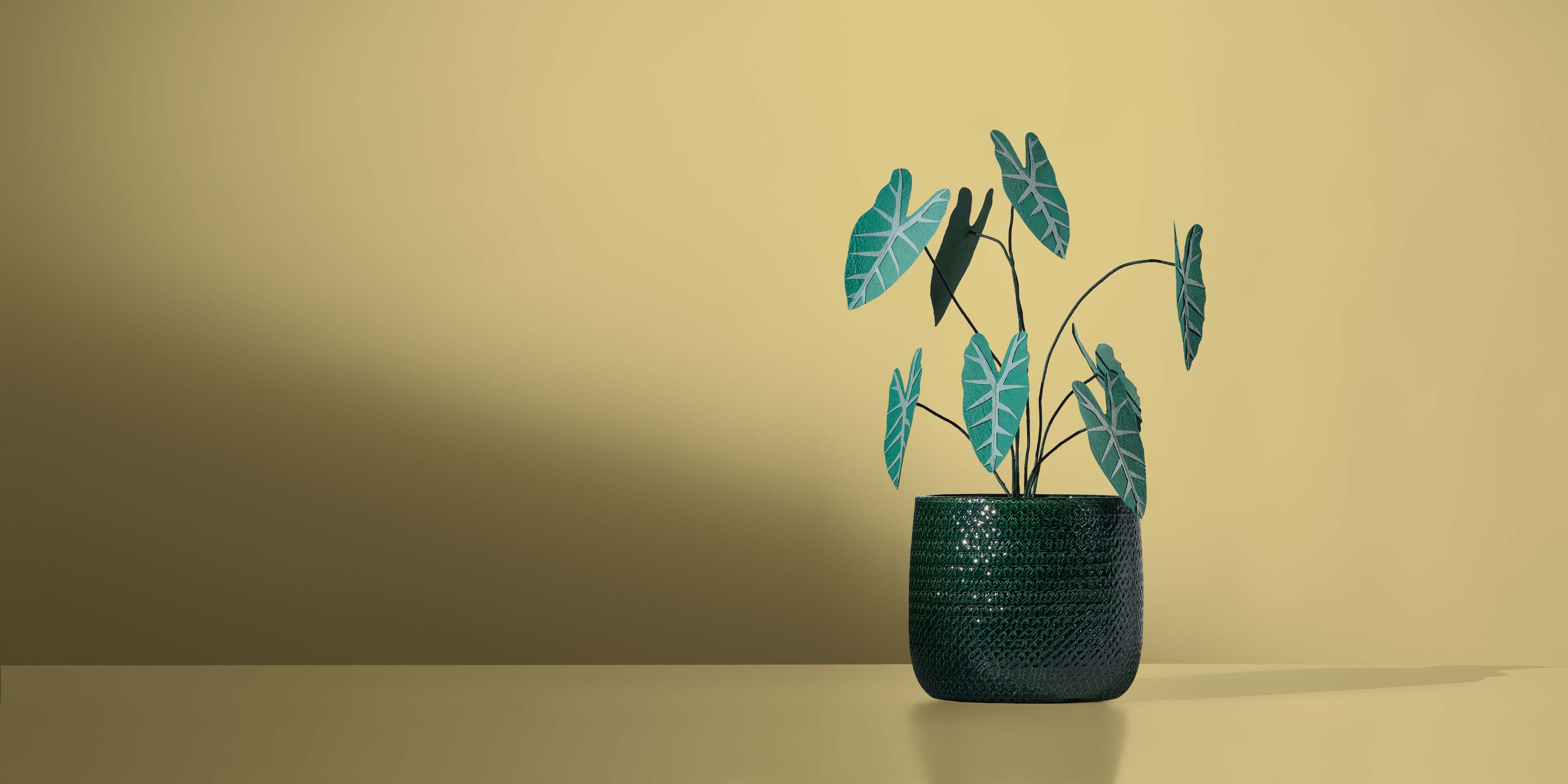 The Olympus of ceramics